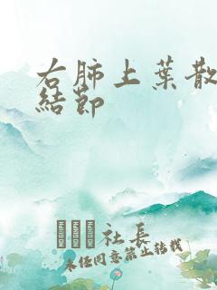 右肺上叶散在微结节