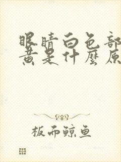 眼睛白色部分发黄是什么原因