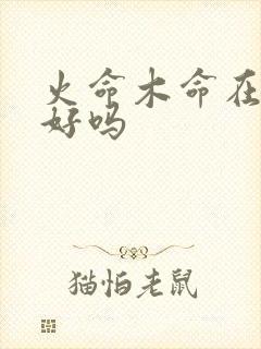 火命木命在一起好吗