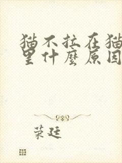 猫不拉在猫砂盆里什么原因