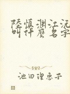 陆慎渊江沅小说叫什么名字