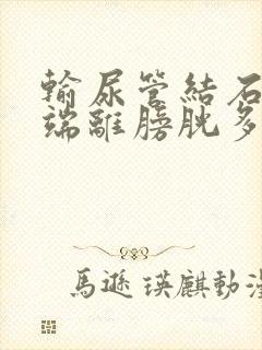 输尿管结石在末端离膀胱多远