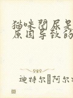 猫咪闭尿是什么原因导致的