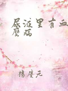 尿液里有血是什么病