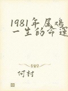 1981年属鸡一生的命运