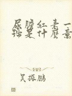 尿胆红素一个减号是什么意思