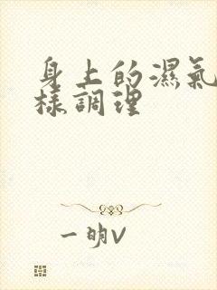 身上的湿气重怎样调理