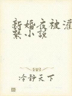 新婚夜被灌醉强系小说