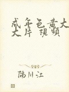 成年色黄大色黄大片 视频