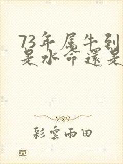 73年属牛到底是水命还是木命