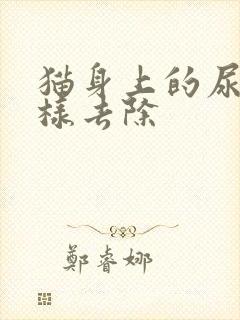 猫身上的尿味怎样去除