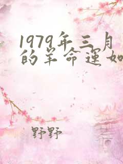 1979年三月的羊命运如何