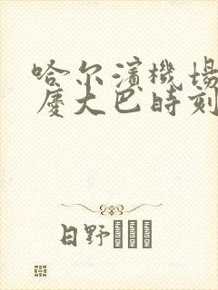 哈尔滨机场至大庆大巴时刻表