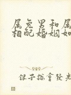 属兔男和属蛇女相配婚姻如何