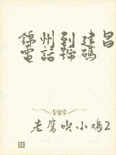 锦州到建昌客车电话号码