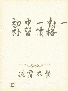 初中一对一英语补习价格