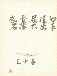 感觉尿道口有结石排不出来怎么办