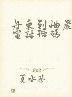 丹东到岫岩客车电话号码