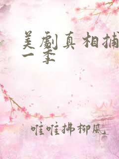 美剧真相捕捉第一季