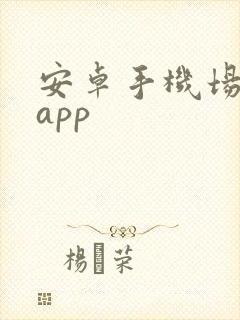 安卓手机场记板app