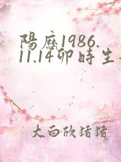 阳历1986.11.14卯时生女一生命运