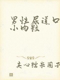 男性尿道口长有小肉粒