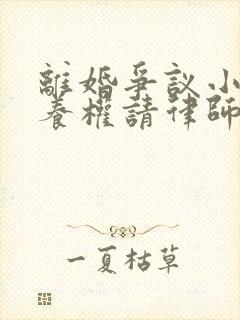 离婚争议小孩抚养权请律师要多少钱