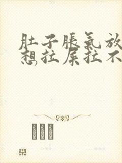 肚子胀气放屁多想拉屎拉不出来