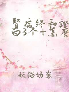 肾病终和证尿蛋白3个+怎么治疗呢