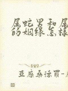 属蛇男和属兔女的姻缘怎样