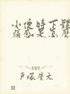 小便时下体有刺痛感是怎么回事