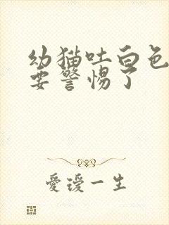 幼猫吐白色泡沫要警惕了