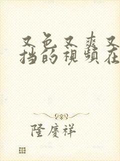 又色又爽又无遮挡的视频在线观看