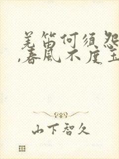 羌笛何须怨杨柳,春风不度玉门关情感