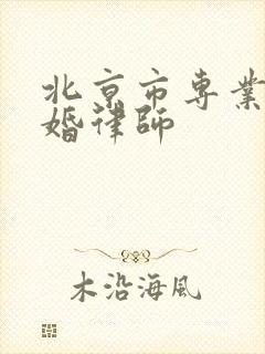 北京市专业办离婚律师