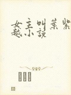 女主叫叶紫的穿越小说