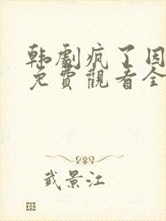 韩剧疯了因为你免费观看全集