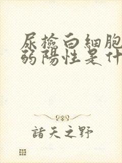 尿检白细胞酯酶弱阳性是什么意思