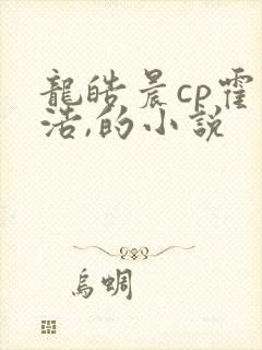 龙皓晨cp霍雨浩,的小说