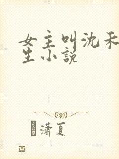 女主叫沈禾的重生小说