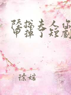 陆总夫人你的马甲掉了短剧