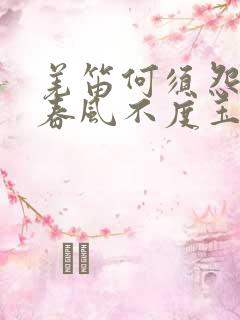 羌笛何须怨杨柳春风不度玉门关的解释