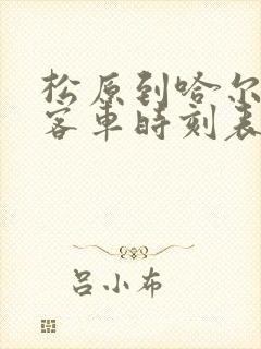 松原到哈尔滨的客车时刻表查询