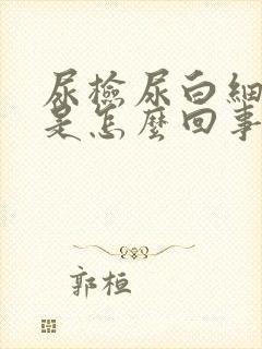 尿检尿白细胞高是怎么回事