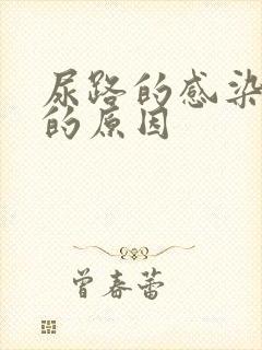 尿路的感染引起的原因