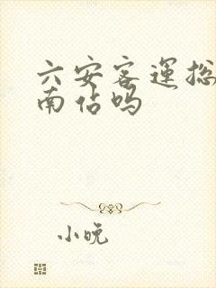 六安客运总站是南站吗