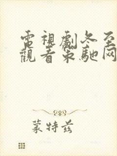 电视剧冬至免费观看策驰网