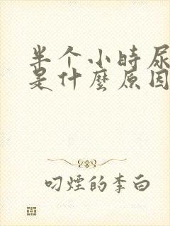 半个小时尿一次是什么原因