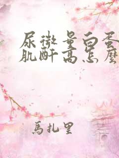 尿微量白蛋白/肌酐高怎么办