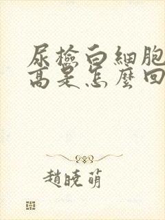 尿检白细胞计数高是怎么回事